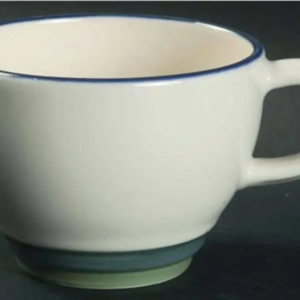 Flat Cup Ocean Breeze by Pfaltzgraff. Set of 12